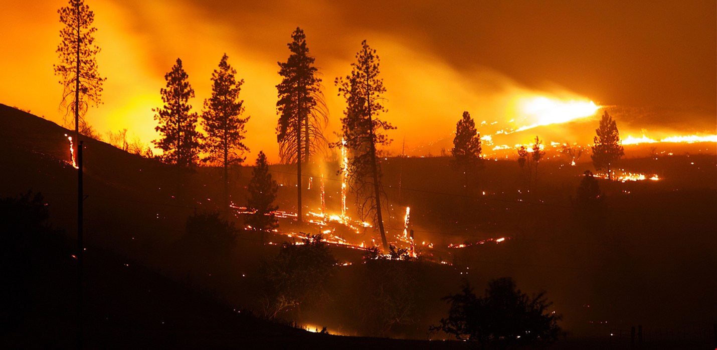  Create a defense shield and know how to escape a wildfire
